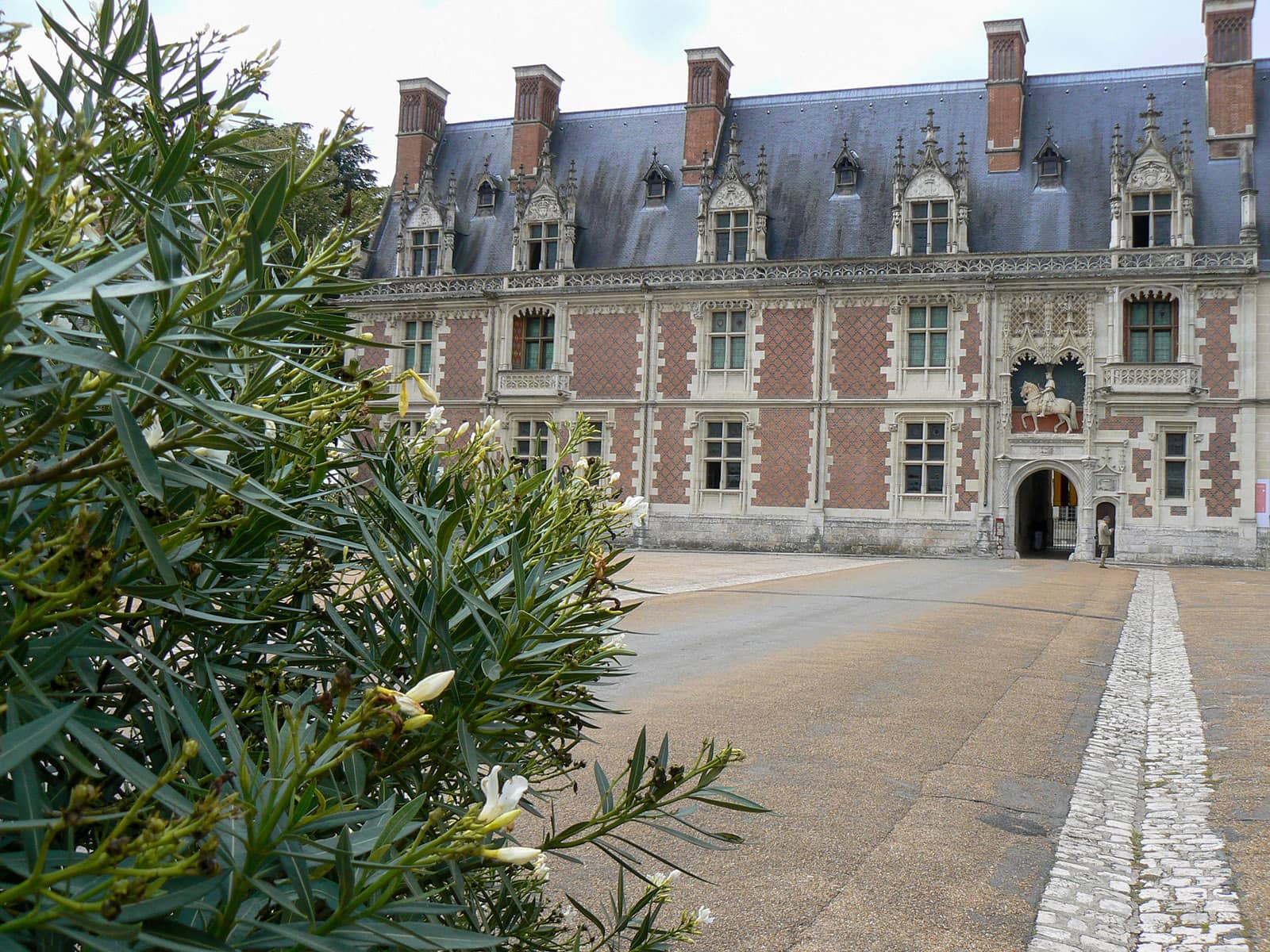 la visite combinée : le Château Royal de Blois + le Centre Historique